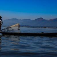 Local Fisherman