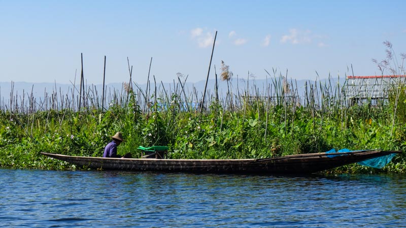 Floating farm