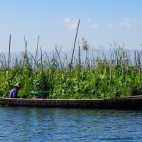 Floating farm