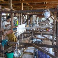 Lotus and Silk weaving