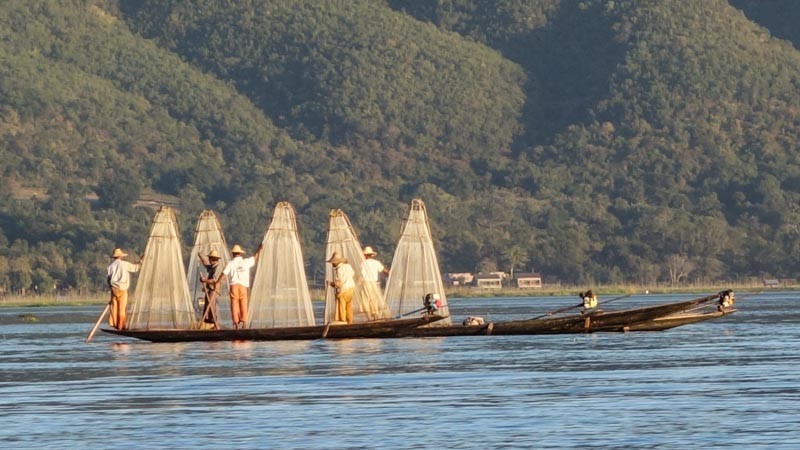 Local fisherman