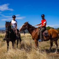 Horseback riding near Cradle mountain