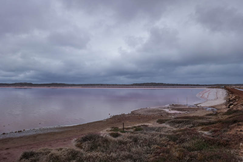 Pink Lagoon on the way to Kalbarri