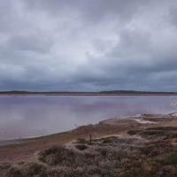 Pink Lagoon on the way to Kalbarri