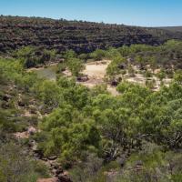 Murchison Gorge