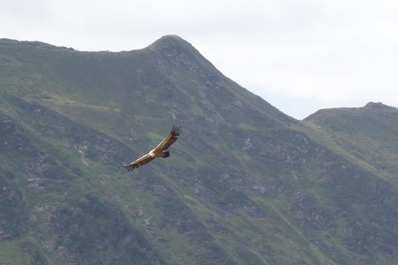 Eagles Lac Bleu