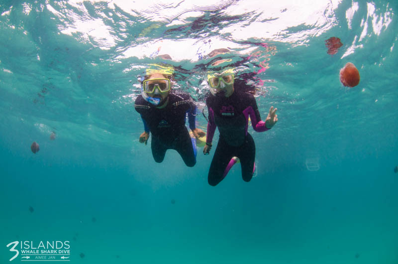 Snorkelling at NIngaloo Reef