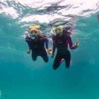 Snorkelling at NIngaloo Reef