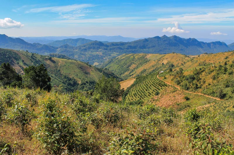 Kalaw countryside