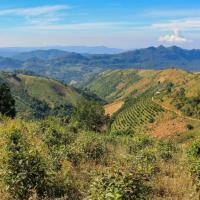 Kalaw countryside