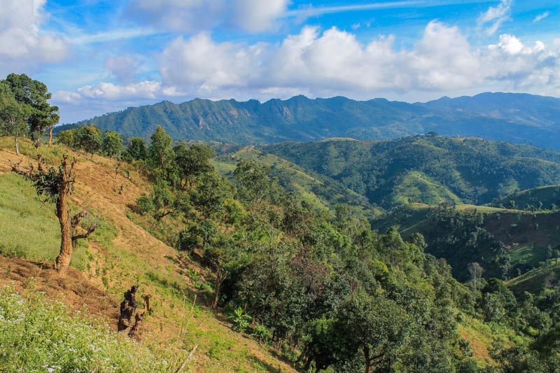 Kalaw countryside