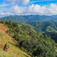 Kalaw countryside