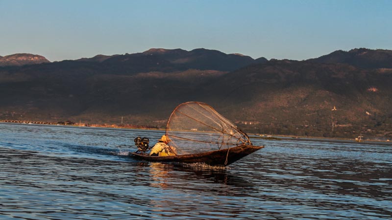 Local fisherman