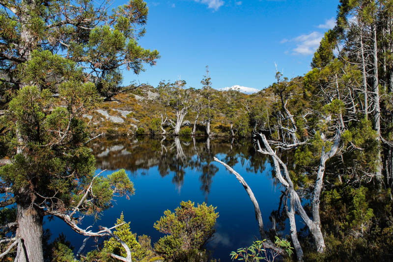 Cradle mountain