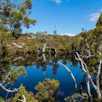 Cradle mountain