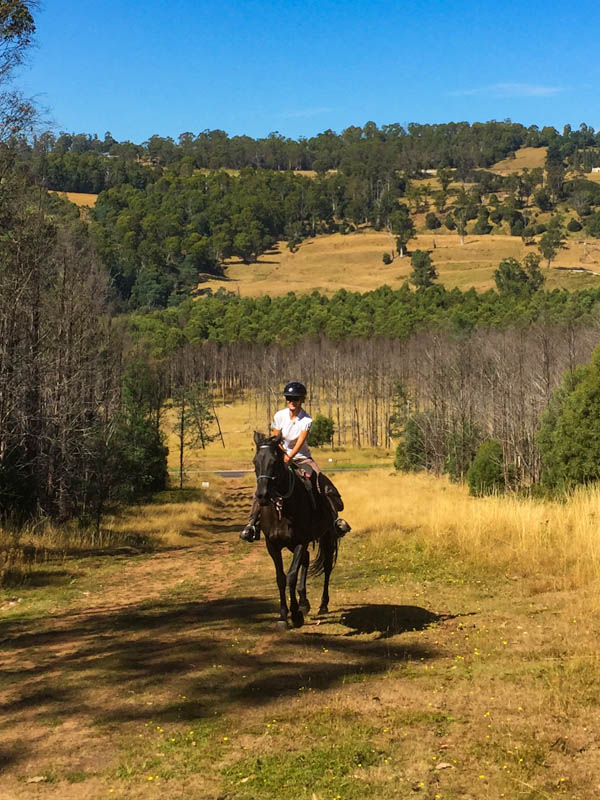 Horseback riding near Cradle mountain