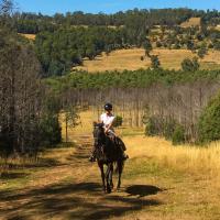 Horseback riding near Cradle mountain