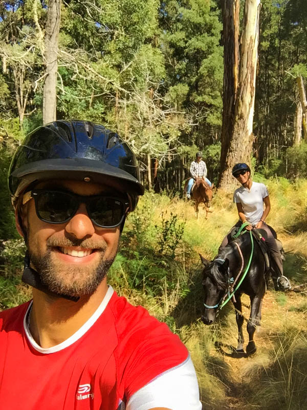 Horseback riding near Cradle mountain