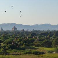 Landscape Bagan 2